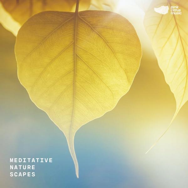 Meditative Nature Scapes